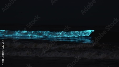 Glowing Blue Bioluminescence Waves at Venice Beach Crashing Along Shoreline, Los Angeles photo