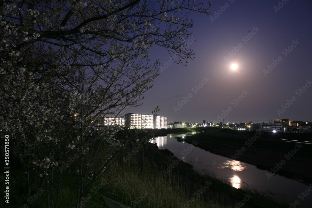 夜の天白川に映る満月と桜