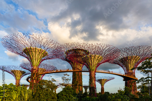Sunset over the super trees and the walkway in Garden by the Bay, Singapore. © Ovnigraphic