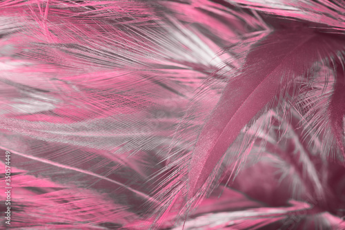 Fotoroleta flamingo ptak sztuka piękny