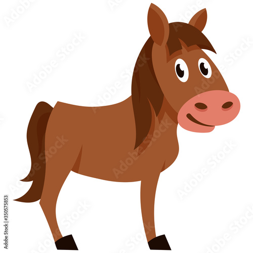 Standing funny foal. Farm animal in cartoon style.