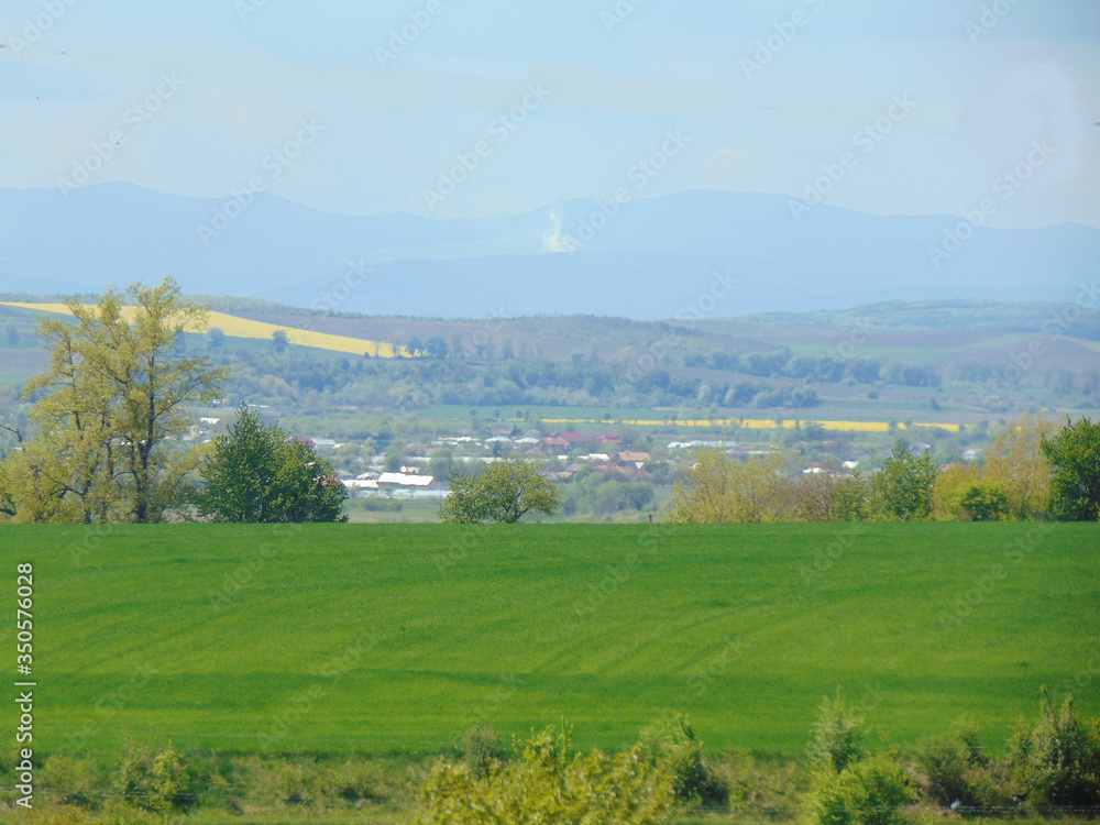 rural landscape with green grass and blue sky rural landscape with green grass and blue sky