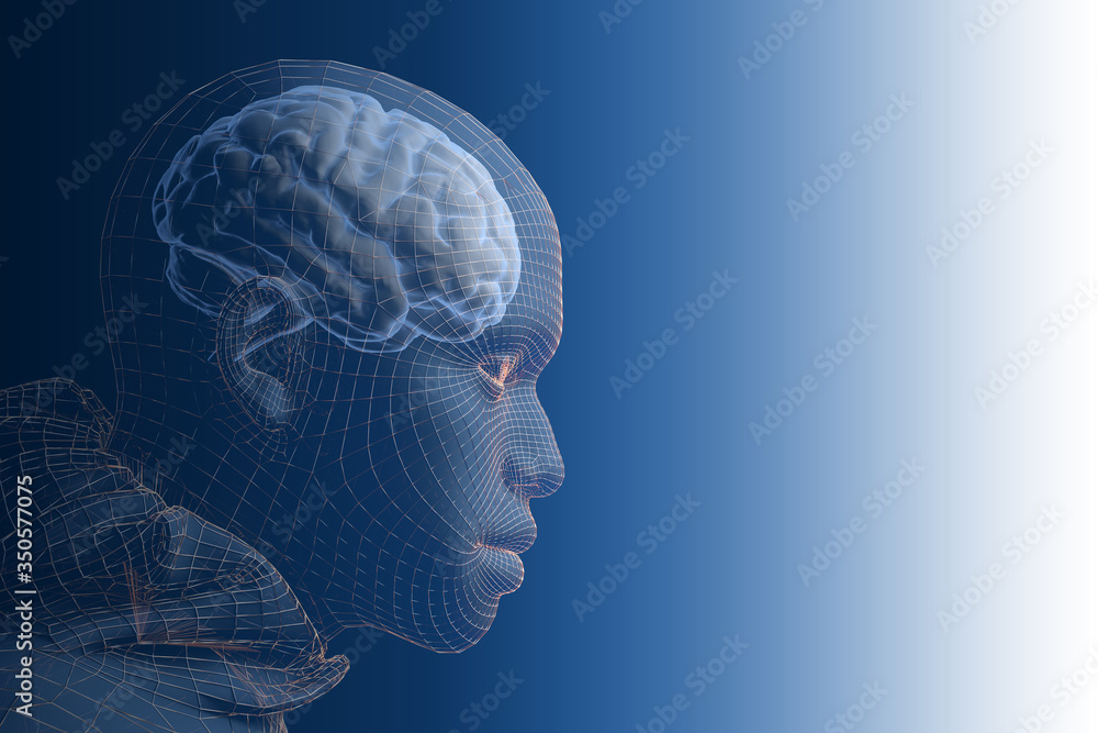 Obraz premium Side view of a head of a man with golden wireframed shell and the brains as an x-ray image. 3D rendering