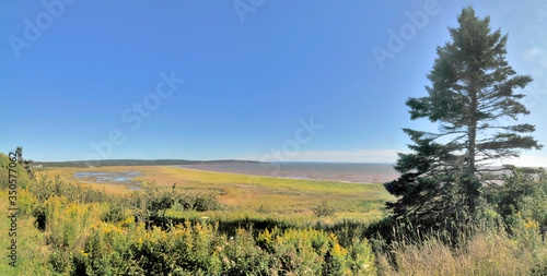 Fundy National Park, located near Alma on the Bay of Fundy in New Brunswick,