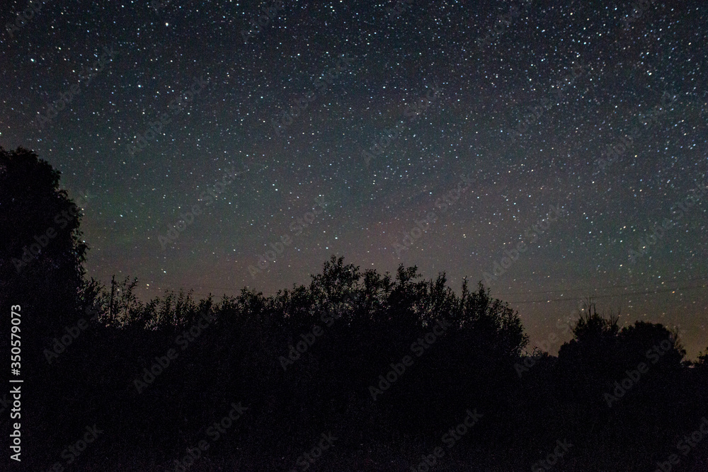 amazing panorama of stars in the night sky with the Milky Way over the forest . starry sky. night shooting