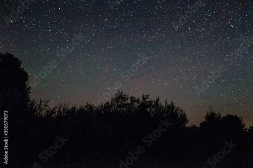 amazing panorama of stars in the night sky with the Milky Way over the forest . starry sky. night shooting