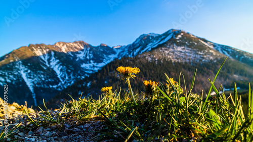 Panorama na Tatry Wysokie z Gęsiej Szyji przy zachodzącym słońcu.