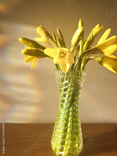 yellow flowers in a vase