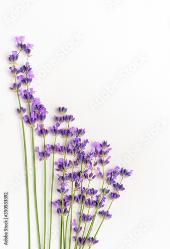 Violet lavender flowers arranged on white wooden background. Flat lay  top view  copy space. 