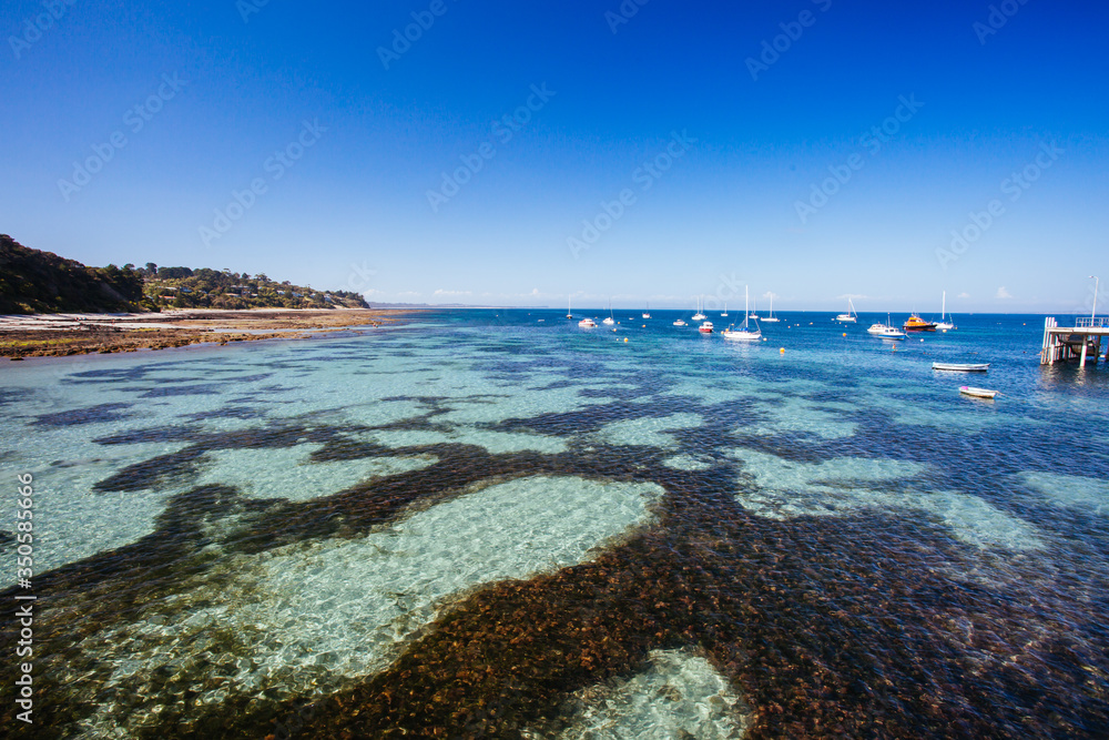 Flinders Back Beach in Australia