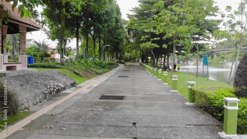 Rows of trees at the side with a pathway - dolly forward Rows of trees at the side with a pathway - dolly forward