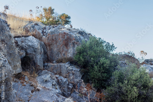 very good looking big ancient stone and some green trees at mountain