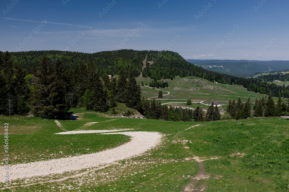 The road in the forest and meadow in the mountains on the background of the sky with clouds.
