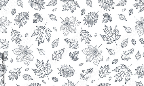 Fall of the leaves. Seamless pattern with autumn leaves for textile, wallpapers, gift wrap and scrapbook. Vector illustration.