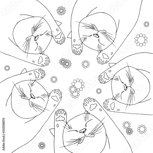 Sleeping cats lie on their backs in flowers. Relax conception ink hand drawn stock vector illustration for coloring book, for web, for print