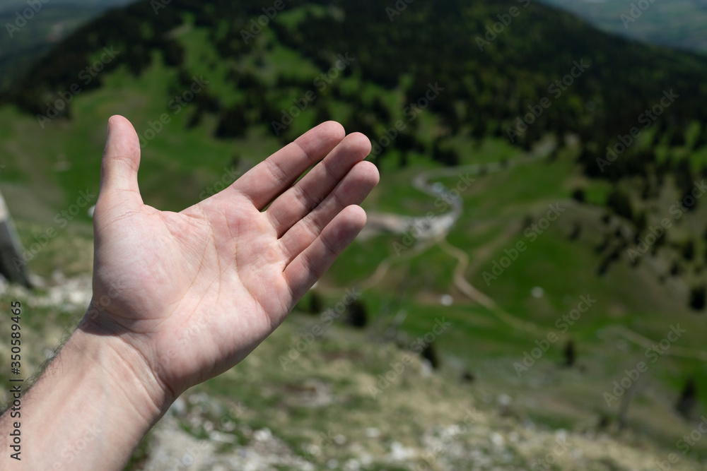 Palm close up on a background of a mountain landscape. Palm close up on a background of a mountain landscape.