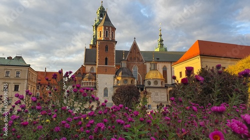 Wawel Castle framed by Purple Flowes