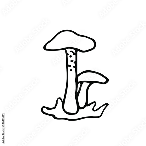 handwritten vector of a boletus mushroom on a white background.mushrooms, boletus black and white