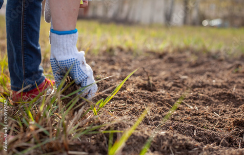 female hands digging in the mud. Gloved  and the earth is brown.   