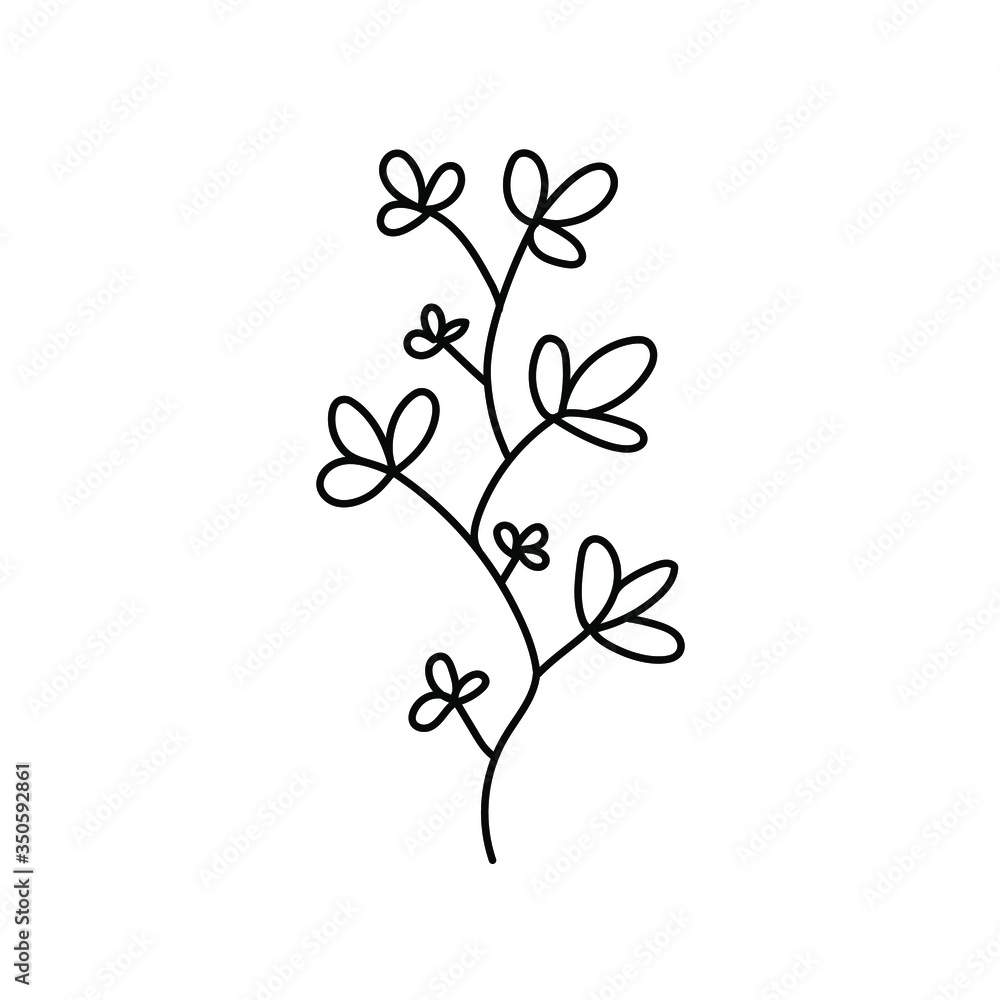 twig isolated . grass. doodle grass. stylized grass. grass ink. handwritten vector twig with leaves on each branch white background. grass and branche black and white twig isolated . grass. doodle grass. stylized grass. grass ink. handwritten vector twig with leaves on each branch white background. grass and branche black and white