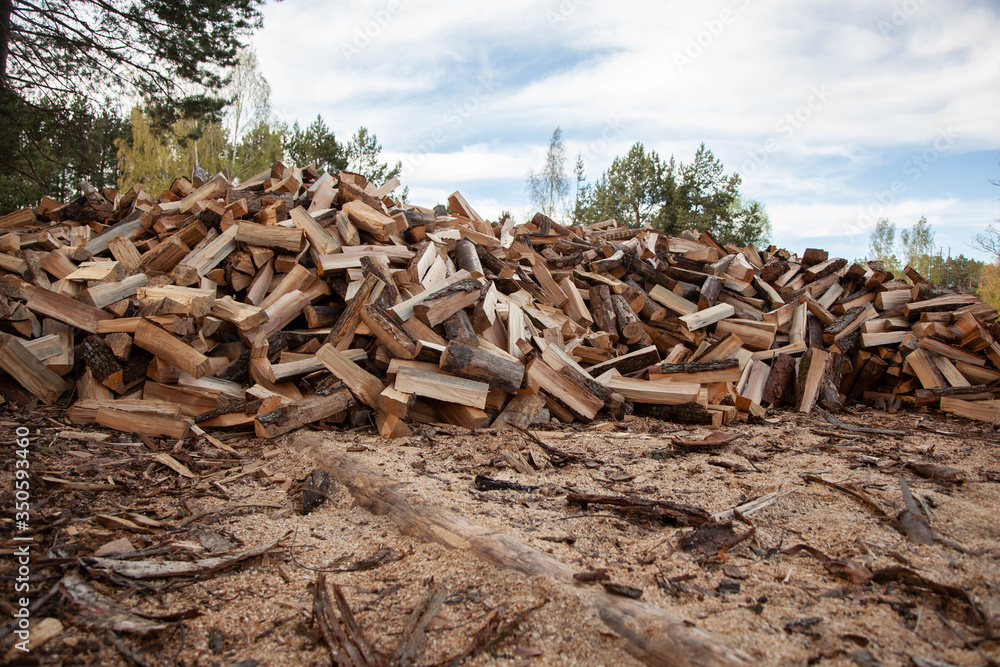 Trees in the sawmill are stacked in bags for sell. Stacks of firewood. Preparation of firewood for the winter. A heap of woodpile. Chopped wood. Firewood.Pile of wood logs ready for winter
Trees in the sawmill are stacked in bags for sell. Stacks of firewood. Preparation of firewood for the winter. A heap of woodpile. Chopped wood. Firewood.Pile of wood logs ready for winter