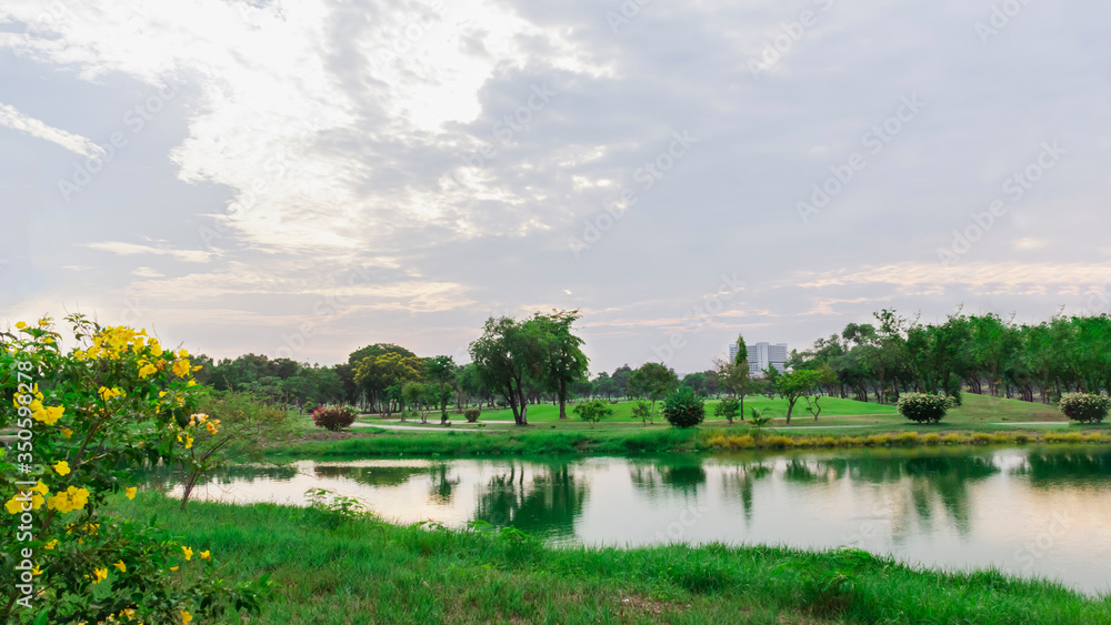 golf course with lush grass and the reflection of the trees in the pool makes it a beautiful view to play sports golf course with lush grass and the reflection of the trees in the pool makes it a beautiful view to play sports