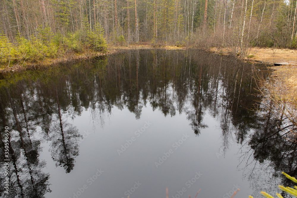Small dark forest lake in early spring