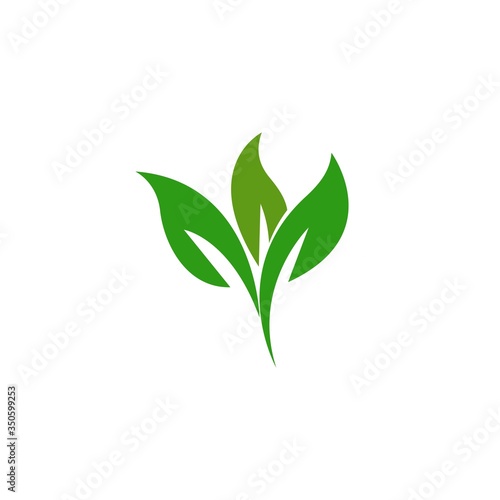 Fototapeta Naklejka Na Ścianę i Meble -  leaf logo