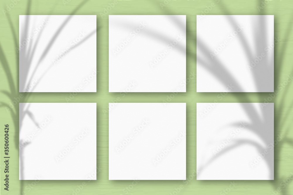 6 square sheets of white textured paper on the light green wall background. Mockup overlay with the plant shadows. Natural light casts shadows from a tropical plant. Flat lay, top view 6 square sheets of white textured paper on the light green wall background. Mockup overlay with the plant shadows. Natural light casts shadows from a tropical plant. Flat lay, top view