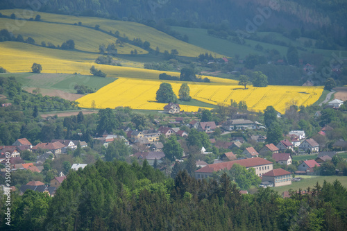 A beautiful Czech Republic agriculture landscape with light and yellow rape fields