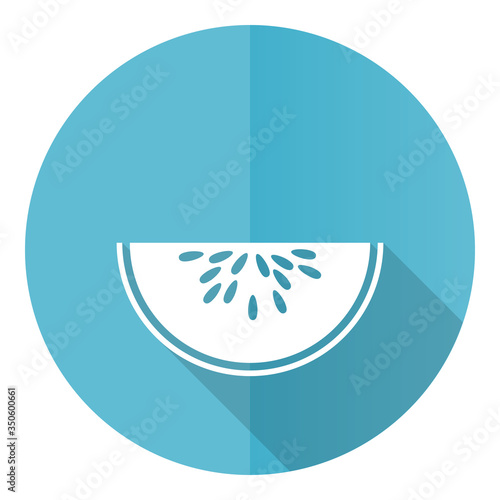 Watermeloon blue round flat design vector icon isolated on white background, fresh fruit illustration in eps 10 photo