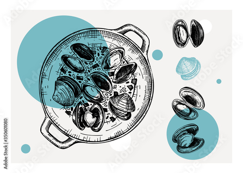 Cooked Clamshells in pot illustrations. Shellfish and seafood restaurant design element. Hand drawn hard clams sketch isolated on white background.