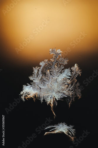 Frosty natural pattern on winter window © renova