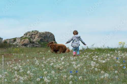 A little girl and a large shaggy brown dog running around a clearing with dandelions. Happy childhood, game, friendship