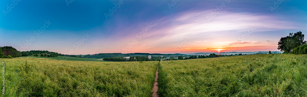 Rural road and field , spring fresh green grass and blue sky, panoramic landscape