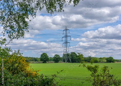 Pylon framed by trees