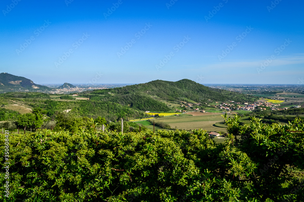 Obraz premium Panoramic view of the fields and vineyards on the Euganean Hills, near Este, Padova, Italy.