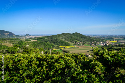 Panoramic view of the fields and vineyards on the Euganean Hills  near Este  Padova  Italy.