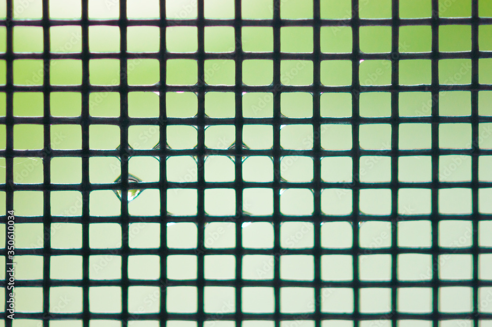 Metal mesh with water drops on a colorful background Metal mesh with water drops on a colorful background