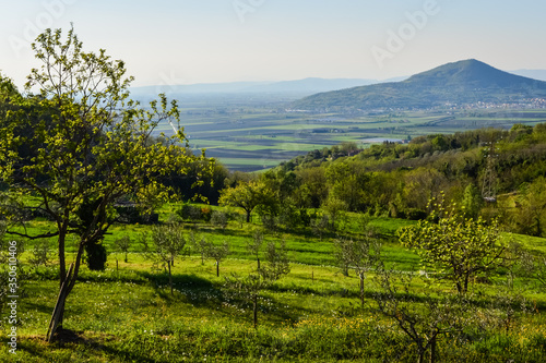 Panoramic view of the fields and vineyards on the Euganean Hills, near Este, Padova, Italy. photo