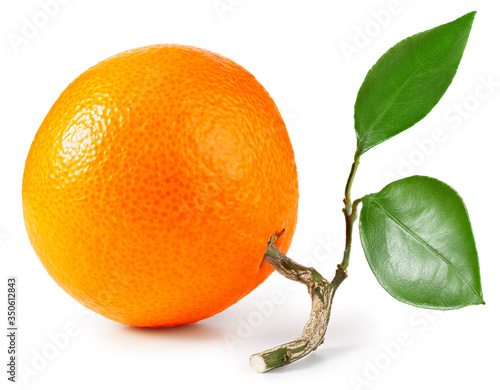 Tangerine or clementine with green leaf isolated on white