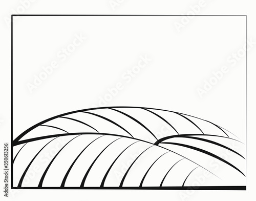 vineyard vector illustration rural landscape