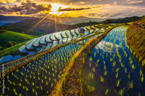 Φωτογραφία Beautiful landscape view of rice terraces and cottages in the rainy season at su