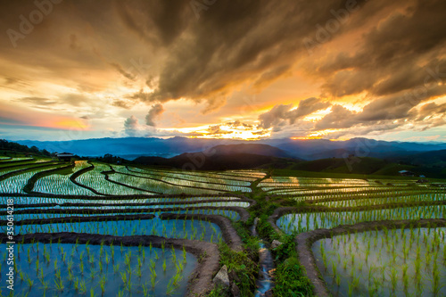 Beautiful landscape view of rice terraces and cottages in the rainy season at sunset and mountain in the background Pa bong Pieng Mae Jam  ChiangMai Thailand