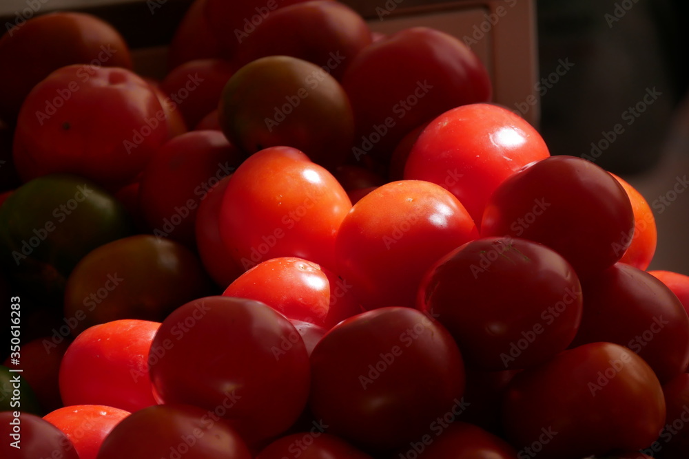 red tomatoes with sunlight red tomatoes with sunlight