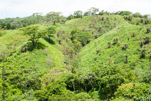 Roatan Island Rural Landscape