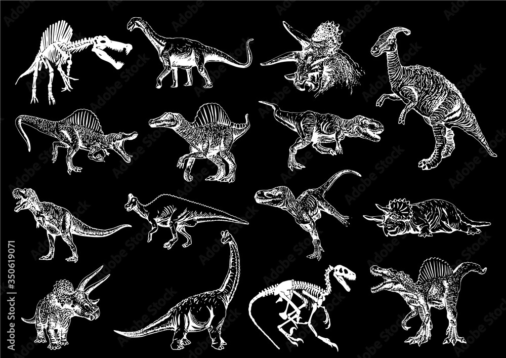 Fototapeta Graphical set of dinosaurs isolated on black background, vector engraved illustration