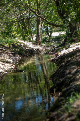Beautiful small creek in the forest on a sunny summer day . Vertical orientation