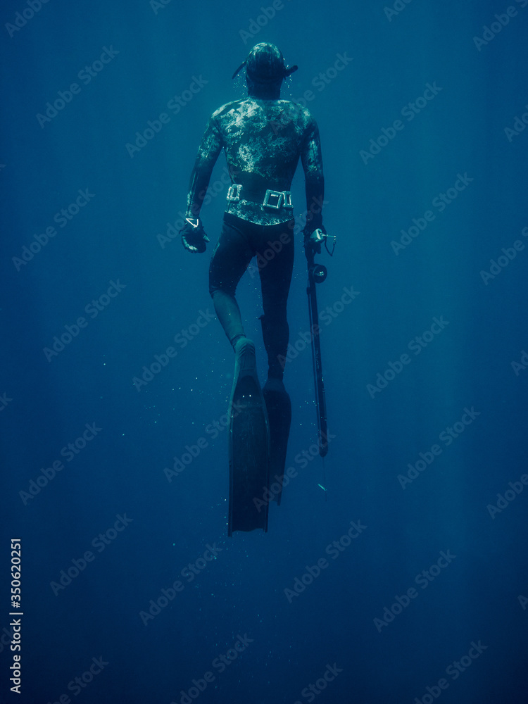 Rear view of diver spearfishing in sea Rear view of diver spearfishing in sea