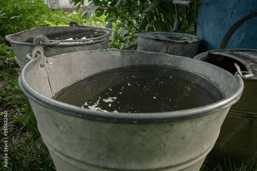 Rainwater collected in bucket for watering garden and plants. Saving rain water in barrel in the garden. Environmentally friendly gardening. Water filled pail. Eco-friendly concept
